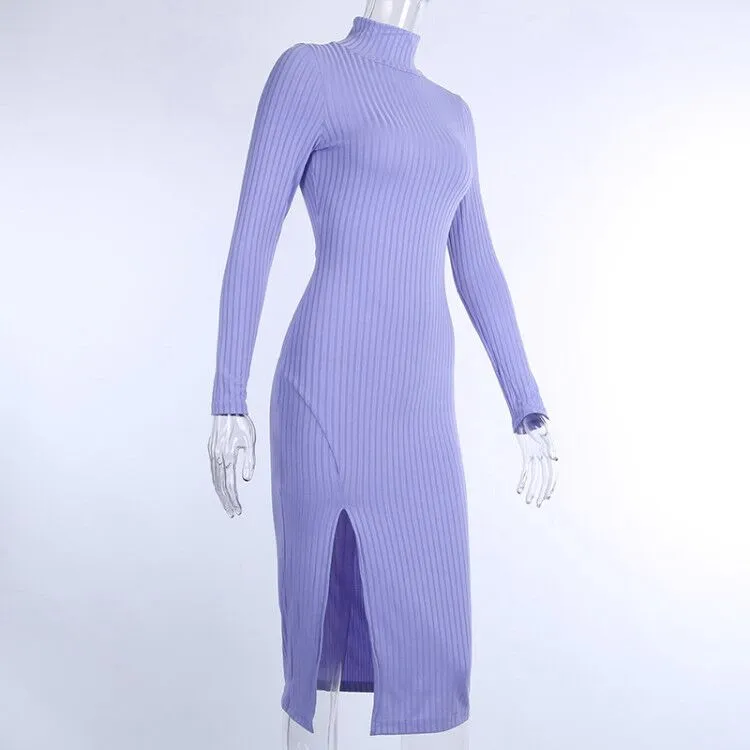 Elegant Knee-Length Turtleneck Dress
