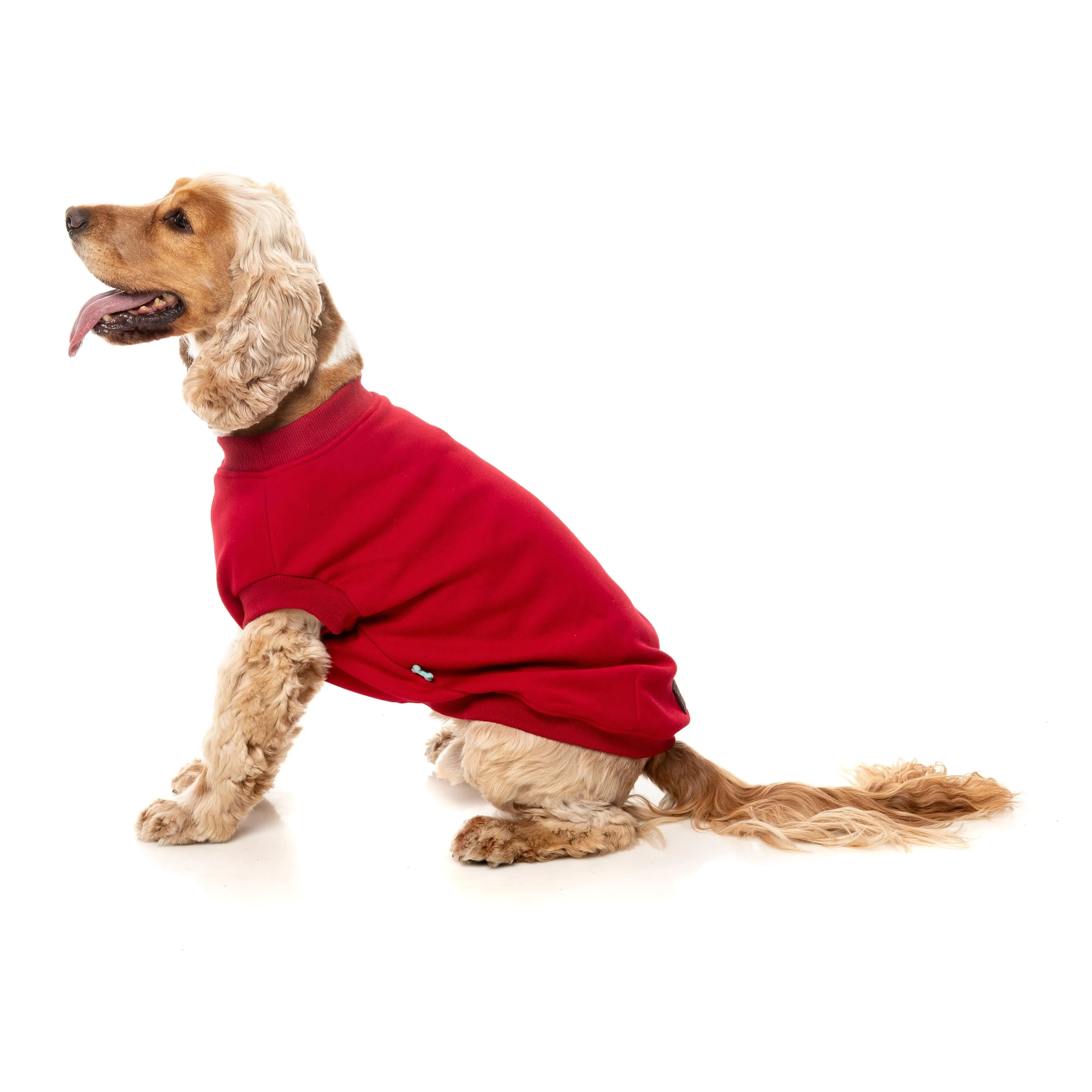 FuzzYard Dog Apparel Allday 25 Sweater Red Size 1 ^ ^