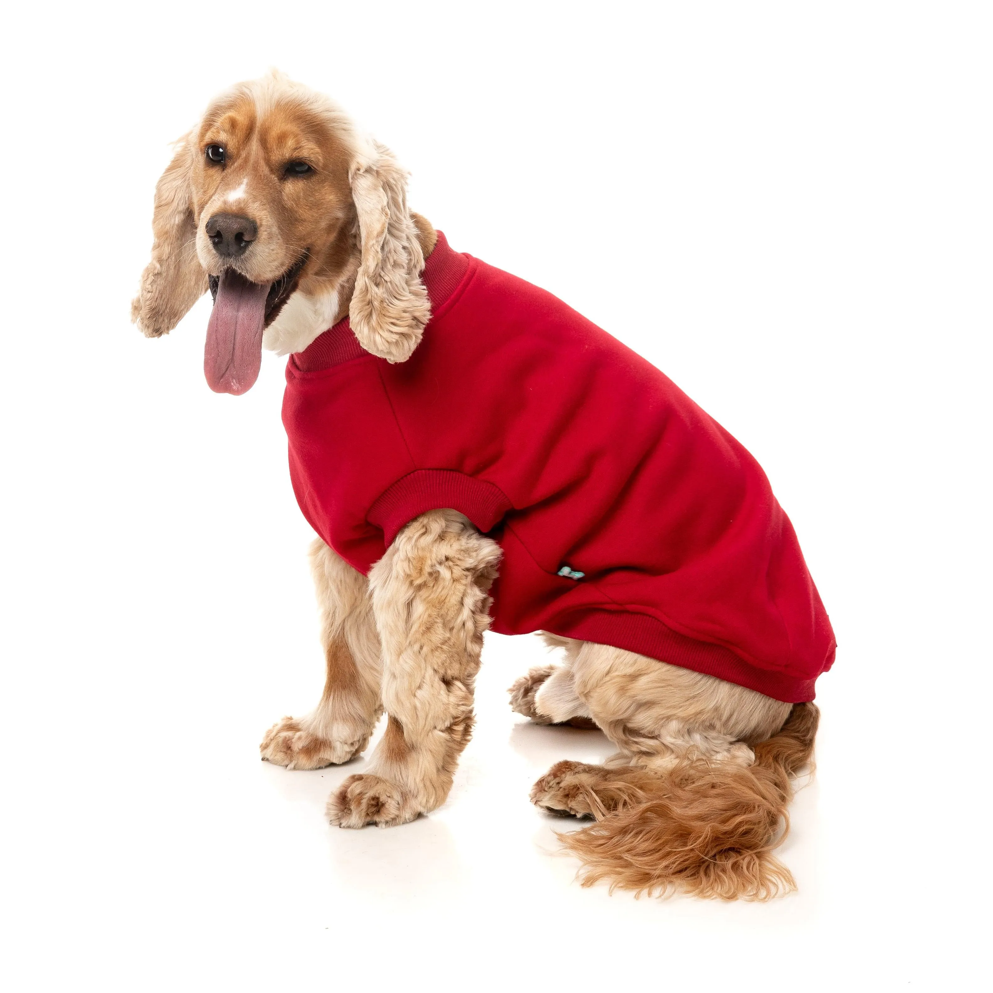FuzzYard Dog Apparel Allday 25 Sweater Red Size 1 ^ ^
