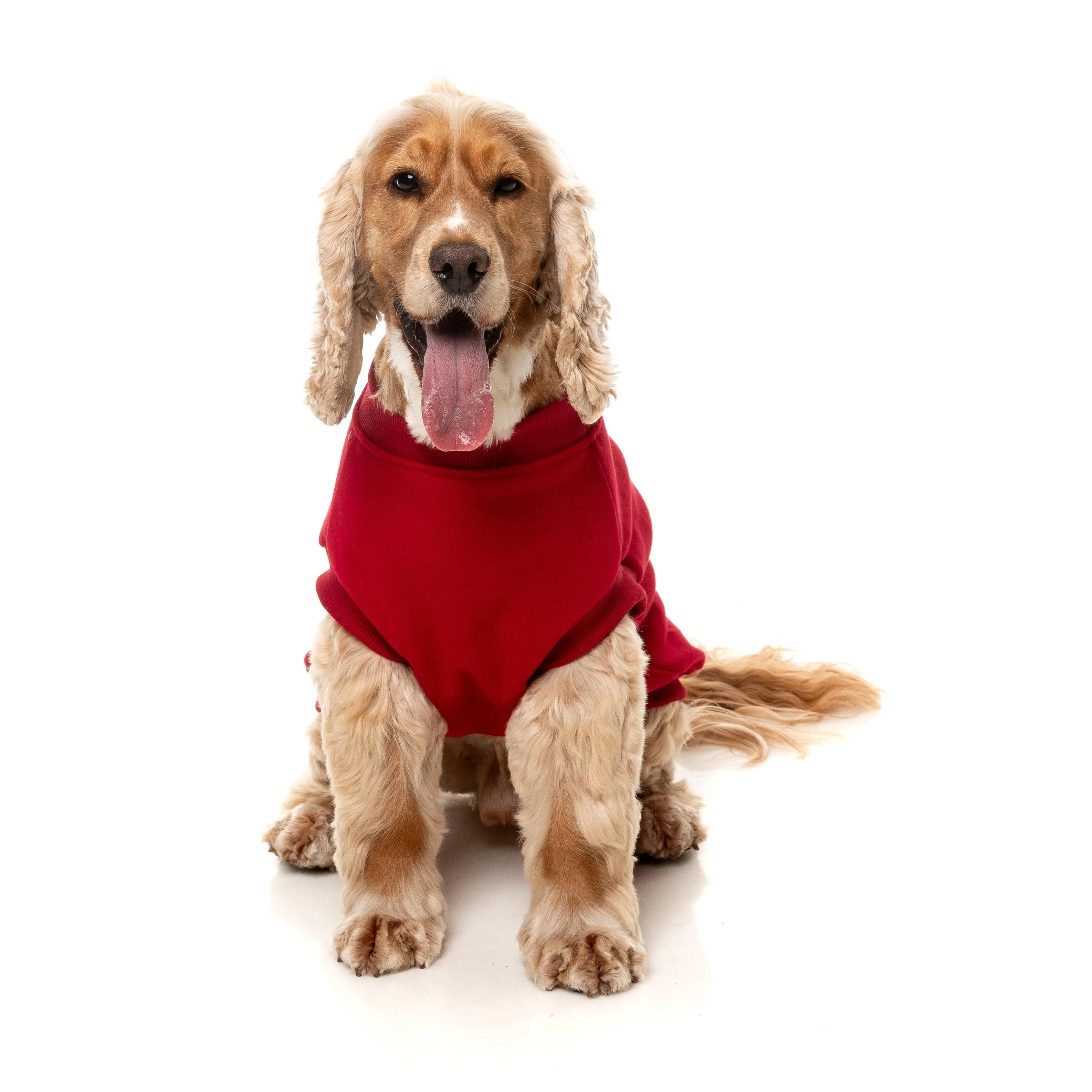 FuzzYard Dog Apparel Allday 25 Sweater Red Size 1 ^ ^